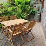 Blick In Den Garten