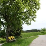 Blick In Den Garten