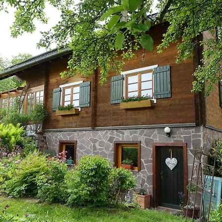 Apartment Blick In Den Garten