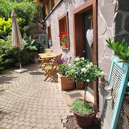 Apartment Blick In Den Garten