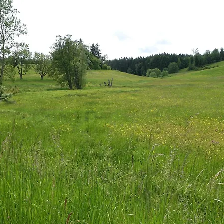 Apartment Blick In Den Garten *