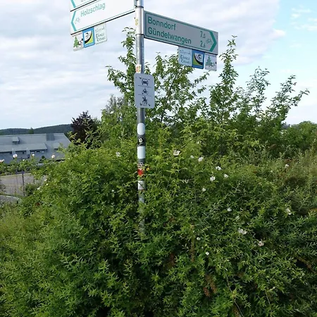 Blick In Den Garten *