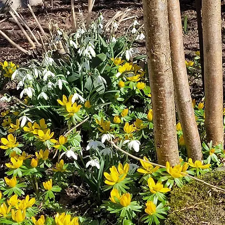 Blick In Den Garten Апартаменты Holzschlag