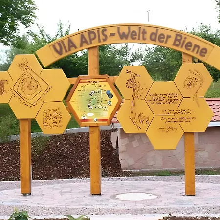 Blick In Den Garten *