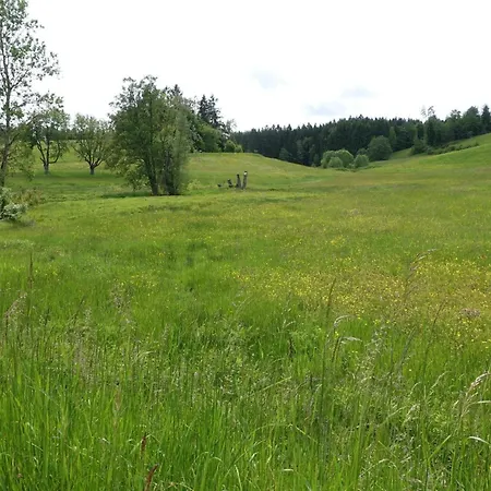 Blick In Den Garten *