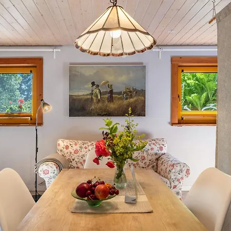 Blick In Den Garten