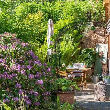 Blick In Den Garten