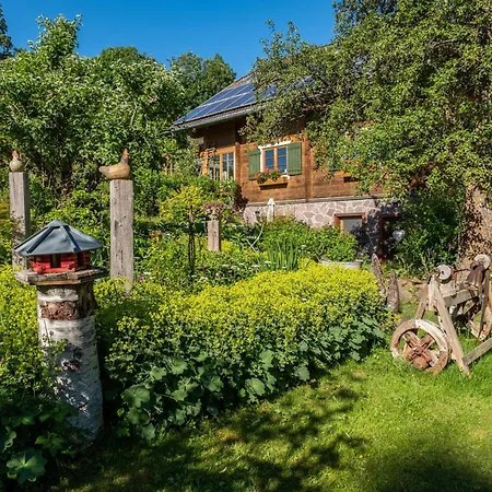 Blick In Den Garten * Holzschlag