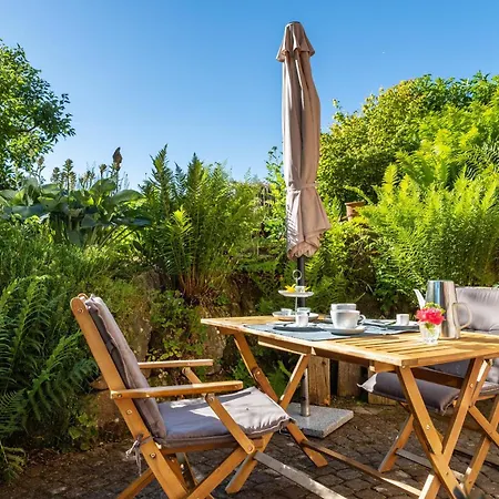 Blick In Den Garten *