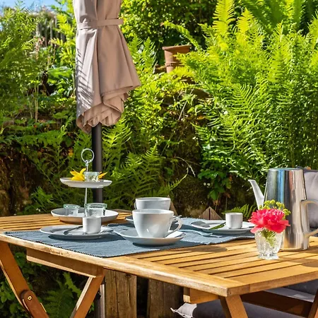 Blick In Den Garten