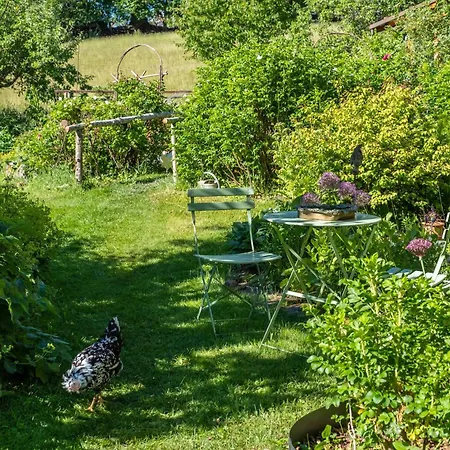 Blick In Den Garten *