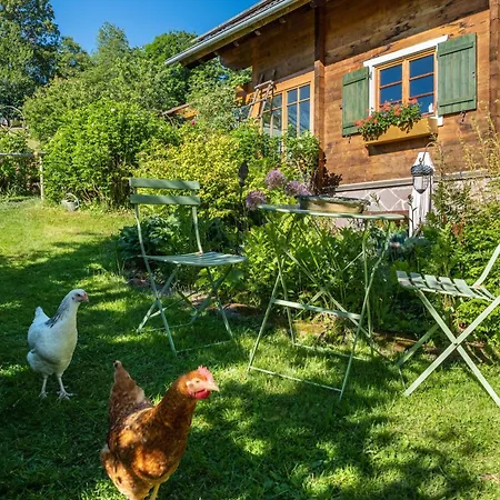 Blick In Den Garten * Holzschlag