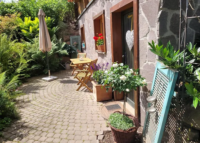 Lägenhet Blick In Den Garten