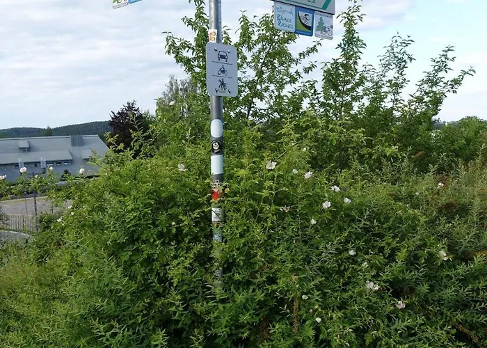 Blick In Den Garten *