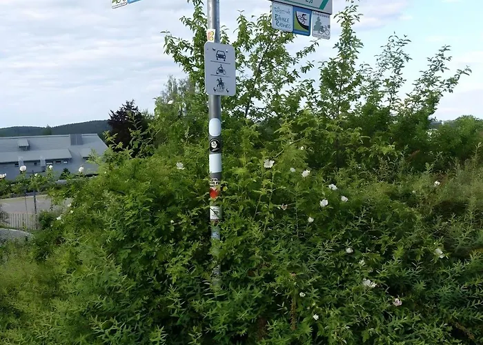 Lägenhet Blick In Den Garten