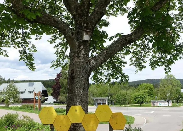 Blick In Den Garten Lägenhet Holzschlag