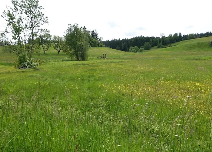 Blick In Den Garten Lägenhet