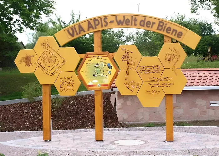 Blick In Den Garten *